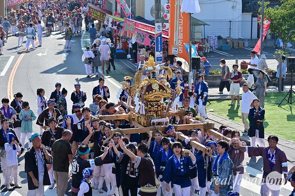 〈八重垣神社祇園祭〉十町神輿連合渡御：東本町区 2025.08.05