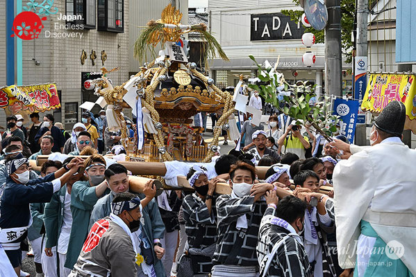 〈八重垣神社祇園祭〉神輿連合渡御：福富町区 @2022.08.05