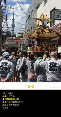 神輿コブさん：白鬚神社例大祭, 2017年6月4日, 七寺西町会, 巴図子