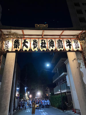 〈U23_012〉矢口哲也さん：牛嶋神社大祭<br>撮影日：2023年9月17日<br>場所：牛嶋神社<br>51番 締めの宮入
