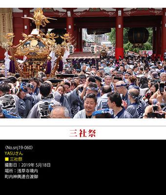 YASUさん：三社祭 ,2019年5月18日