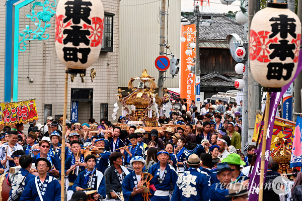 〈八重垣神社祇園祭〉十町神輿連合宮入渡御：東本町区 @2024.08.05