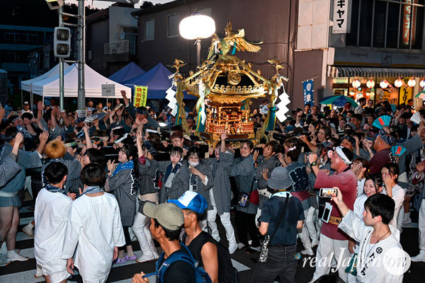 〈八重垣神社祇園祭〉女神輿連合渡御：上出羽区 @2024.08.04