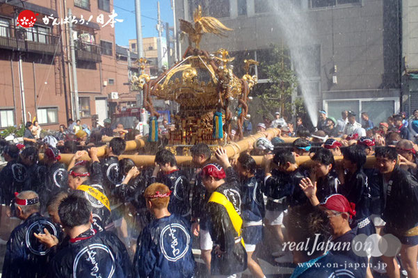〈深川神明宮例大祭〉神輿連合渡御　七番: 常盤二丁目 ＠2012.08.19