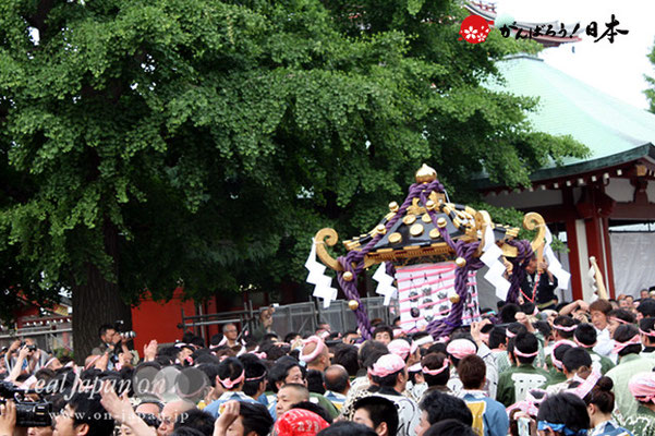 〈三社祭〉二之宮神輿・西部氏子宮出し渡御 ＠2012.05.20