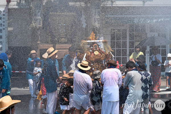 〈八重垣神社祇園祭〉十町神輿連合渡御：仲町区 @2024.08.05