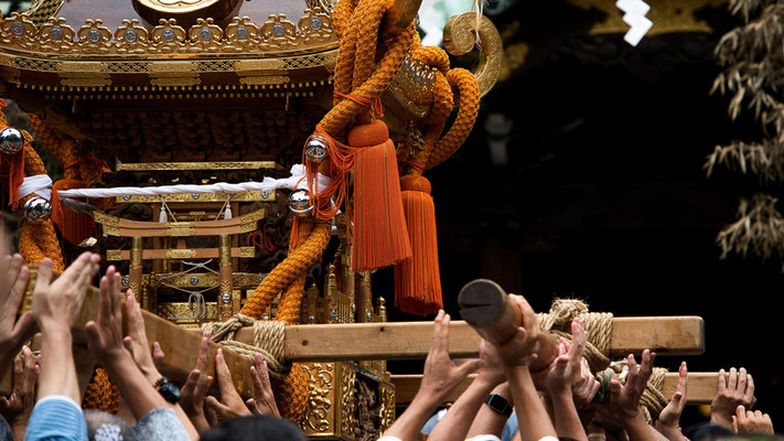 〈U23_032〉とよとよさん：牛嶋神社大祭<br>撮影日：2023年9月17日<br>場所：牛嶋神社境内
