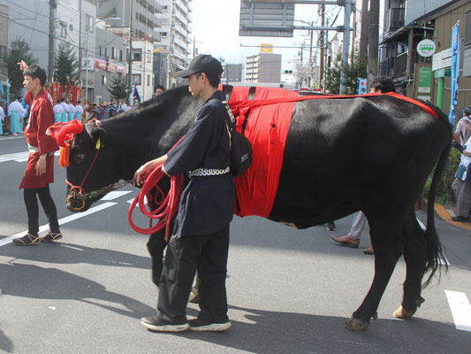 〈U23_024〉國井孝一さん：牛嶋神社大祭<br>撮影日：2023年9月15日<br>場所：牛嶋神社鳥居前