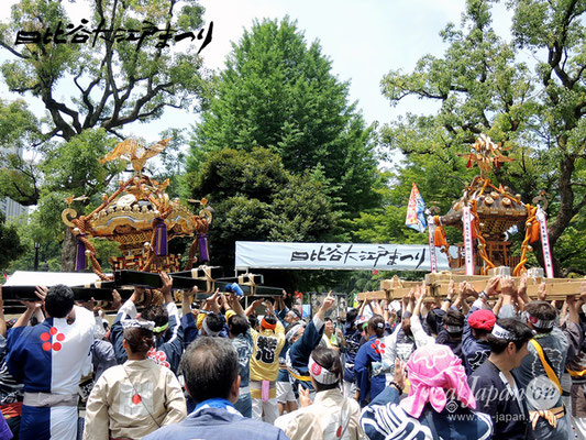 日比谷大江戸まつり【お神輿: 東京都神社庁／福樹會】2018.06.09 sat