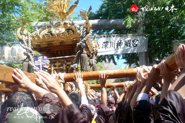 〈深川神明宮例大祭〉神輿連合渡御　三番: 森下五丁目 ＠2012.08.19