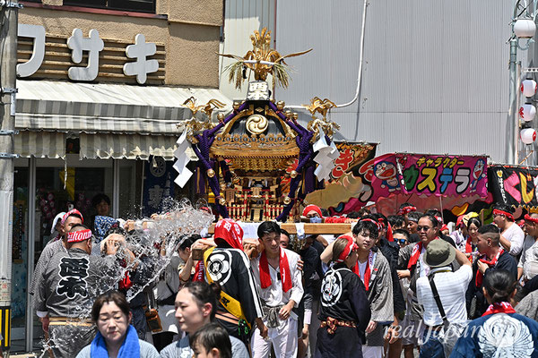〈八重垣神社祇園祭〉十町神輿連合渡御：西本町区 2025.08.05