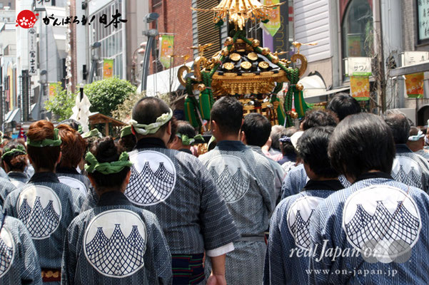 〈三社祭〉雷門田原町会・神輿渡御 ＠2012.05.20