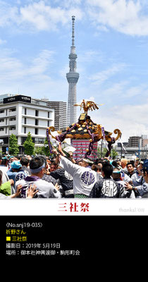 折野さん：三社祭 ,2019年5月19日,駒形町会