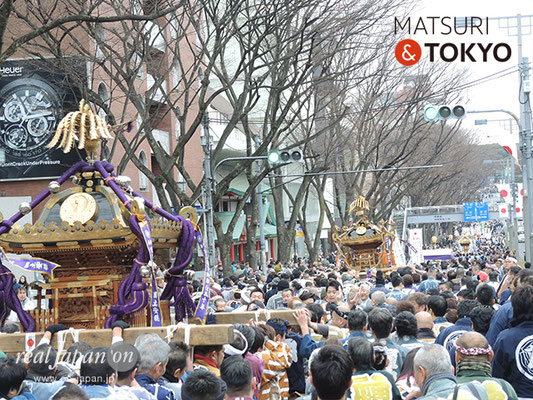 〈建国祭 2019.2.11〉鳳和會 ©real Japan'on : kks19-021