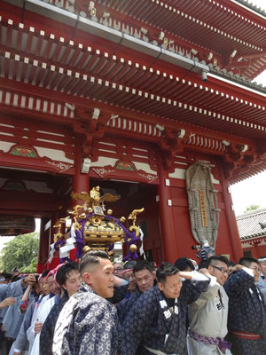 町内神輿連合渡御〈駒形〉@2017.05.20 (snj17-022)