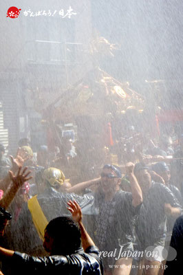 〈深川神明宮例大祭〉神輿連合渡御　十三番: 千歳三丁目 ＠2012.08.19
