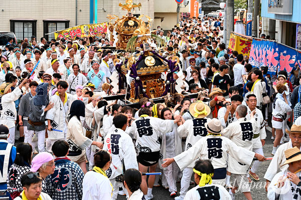 〈八重垣神社祇園祭〉十町神輿連合宮入渡御：田町区 @2024.08.05