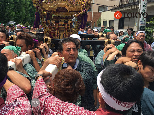 東大島神社御祭礼　2017年8月6日 hojm17_019