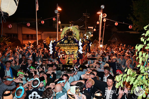 〈八重垣神社祇園祭〉神社神輿環御：下出羽区 2025.08.05