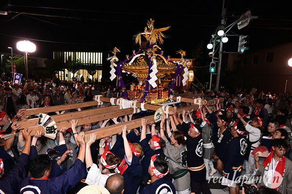 〈八重垣神社祇園祭〉女神輿連合渡御：西本町区 2025.08.04