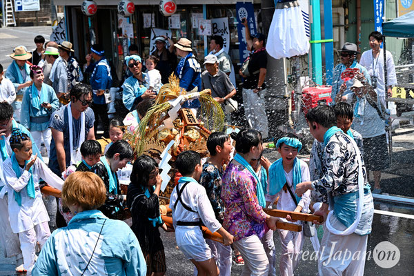 〈八重垣神社祇園祭〉十町神輿連合渡御：下出羽区 @2024.08.05