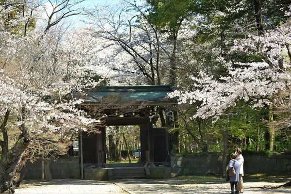 ＜s20-060＞nanumotoさん：談笑／2019年3月24日(火)／松戸市東禅寺