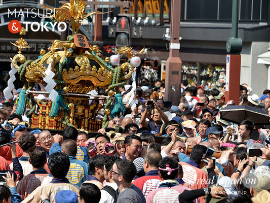 町内神輿連合渡御〈寿四〉@2017.05.20 (snj17-032)　ⓒm.kataoka