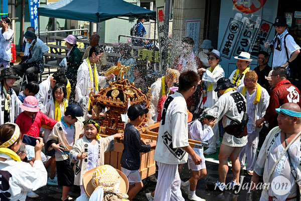 〈八重垣神社祇園祭〉十町神輿連合渡御：田町区 @2024.08.05