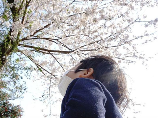 ＜s20-172＞green_peas_さん：また来年／4月8日（水）／神奈川県 深見神社