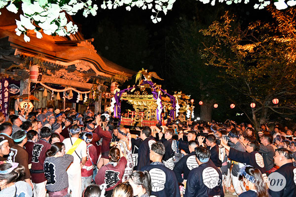 〈八重垣神社祇園祭〉神輿環御宮入：上出羽区 @2024.08.05