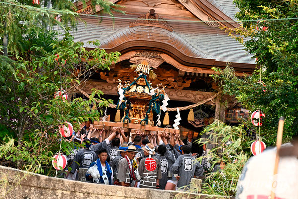 〈八重垣神社祇園祭〉十町神輿連合宮入渡御：福富町区 @2024.08.05