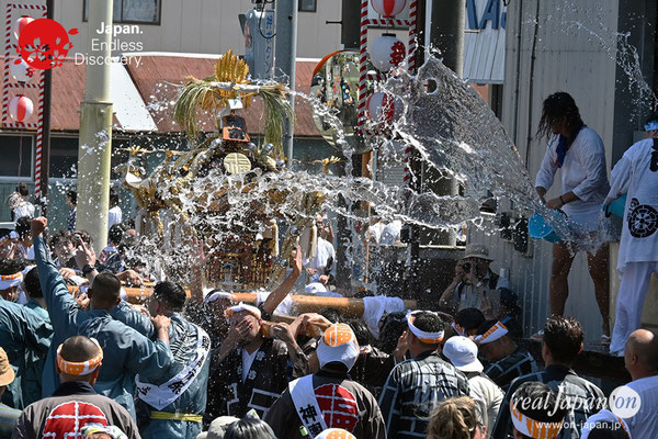 〈八重垣神社祇園祭〉十町神輿連合渡御：福富町区 @2023.08.05