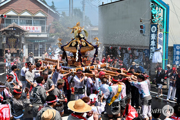 〈八重垣神社祇園祭〉十町神輿連合渡御：西本町区 @2024.08.05