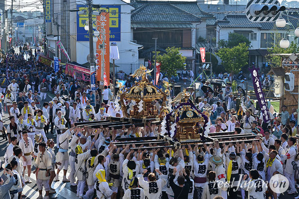 〈八重垣神社祇園祭〉十町神輿連合渡御：田町区 2025.08.05