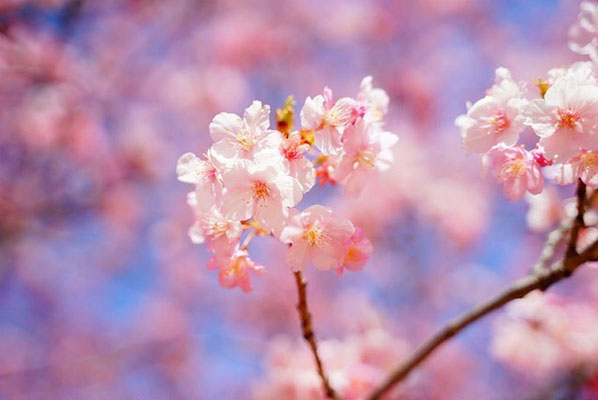 ＜s20-068＞bonita1031さん：3月1日(日)