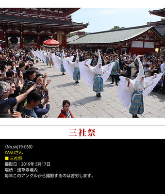  YASUさん：三社祭 ,2019年5月17日