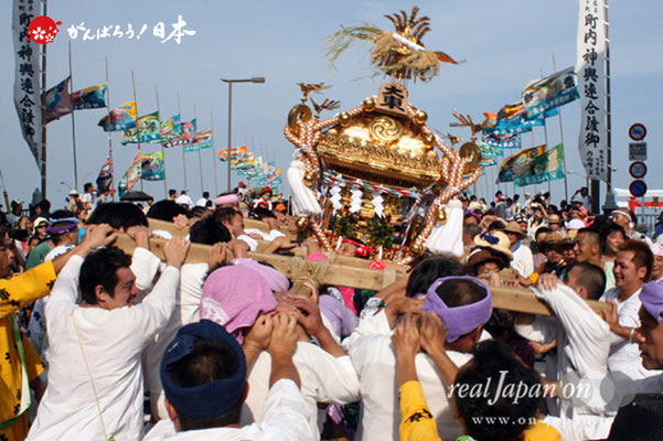 〈羽田まつり・各町神輿連合渡御〉大東 町会