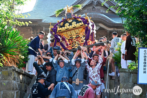 〈八重垣神社祇園祭〉神社神輿発御：上出羽区 @2024.08.04