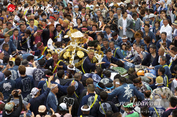 浦安三社祭〈当代島・稲荷神社本社神輿〉地すり ＠2012.06.17