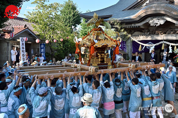 〈八重垣神社祇園祭〉神輿宮入渡御：下出羽区 @2023.08.05