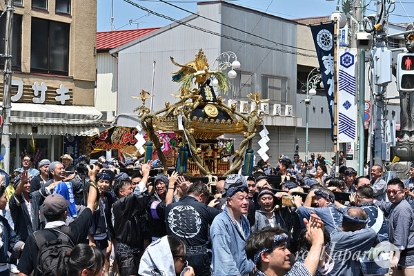 〈八重垣神社祇園祭〉十町神輿連合渡御：上出羽区 2025.08.05