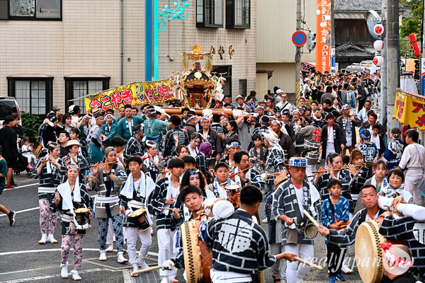 〈八重垣神社祇園祭〉十町神輿連合宮入渡御：福富町区 @2024.08.05