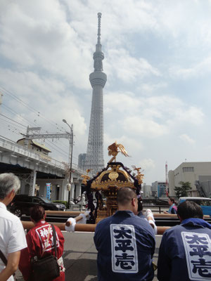 〈U23_007〉宇野 みどりさん：牛嶋神社大祭<br>撮影日：2023年9月17日<br>場所：源森橋<br>宮入順番待ちの後ろ姿が素敵です。