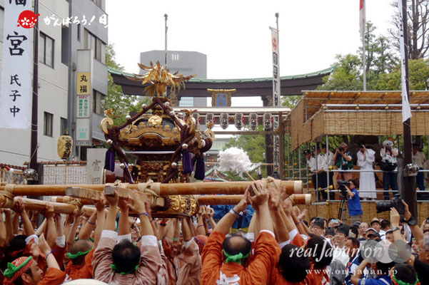 〈富岡八幡宮例大祭〉神輿連合渡御　十九番: 新川霊一 ＠2014.08.17