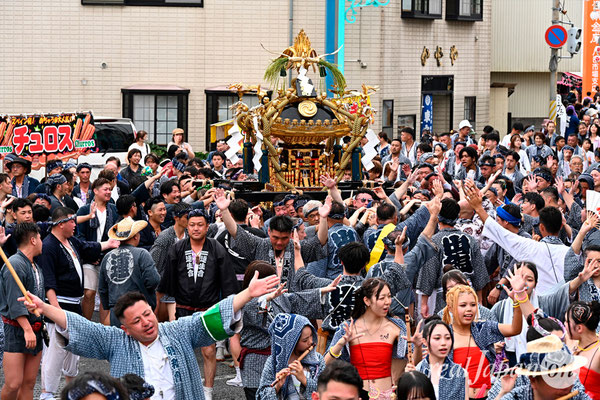 〈八重垣神社祇園祭〉十町神輿連合宮入渡御：上出羽区 @2024.08.05