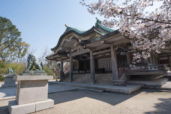 〈s20-111〉ぽせいどんさん：豊國神社／2019年4月4日(木)／大阪城公園 豊國神社