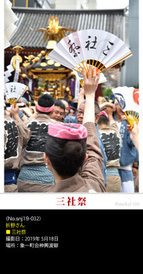 折野さん：三社祭 ,2019年5月18日,象一町会