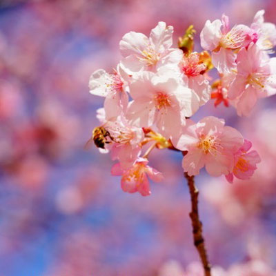 ＜s20-069＞bonita1031さん：3月6日(金)