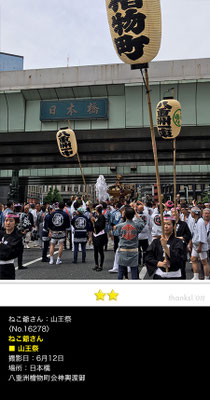 ねこ爺さん：山王祭, 6月12日, 日本橋, 八重洲檜物町会神輿渡御