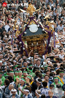 〈下谷祭〉本社大神輿渡御 @2010.05.09　　　写真ナンバー【sty-001】